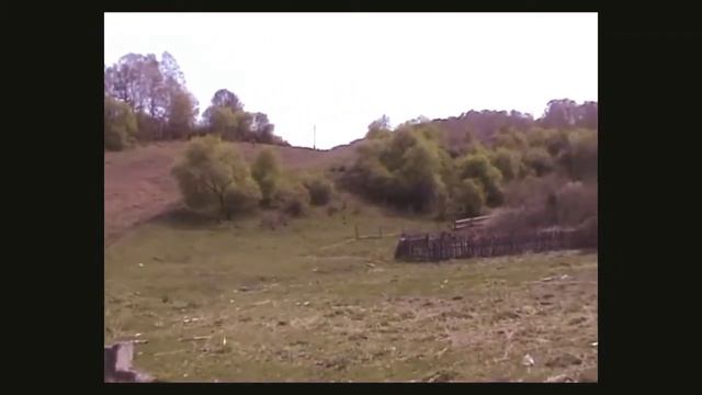 Топольное №1. смотреть онлайн