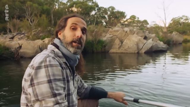 Australie, l'énigmatique ornithorynque | 360° Reportage | ARTE Family смотреть онлайн