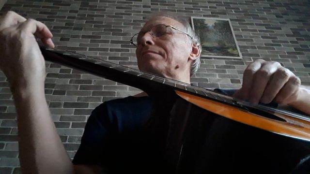 ВАШЕ БЛАГОРОДИЕ #константин_куликовъ #гитара смотреть онлайн