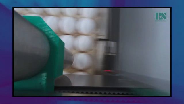 Маркування яєць в лотках принтером "Emico". смотреть онлайн