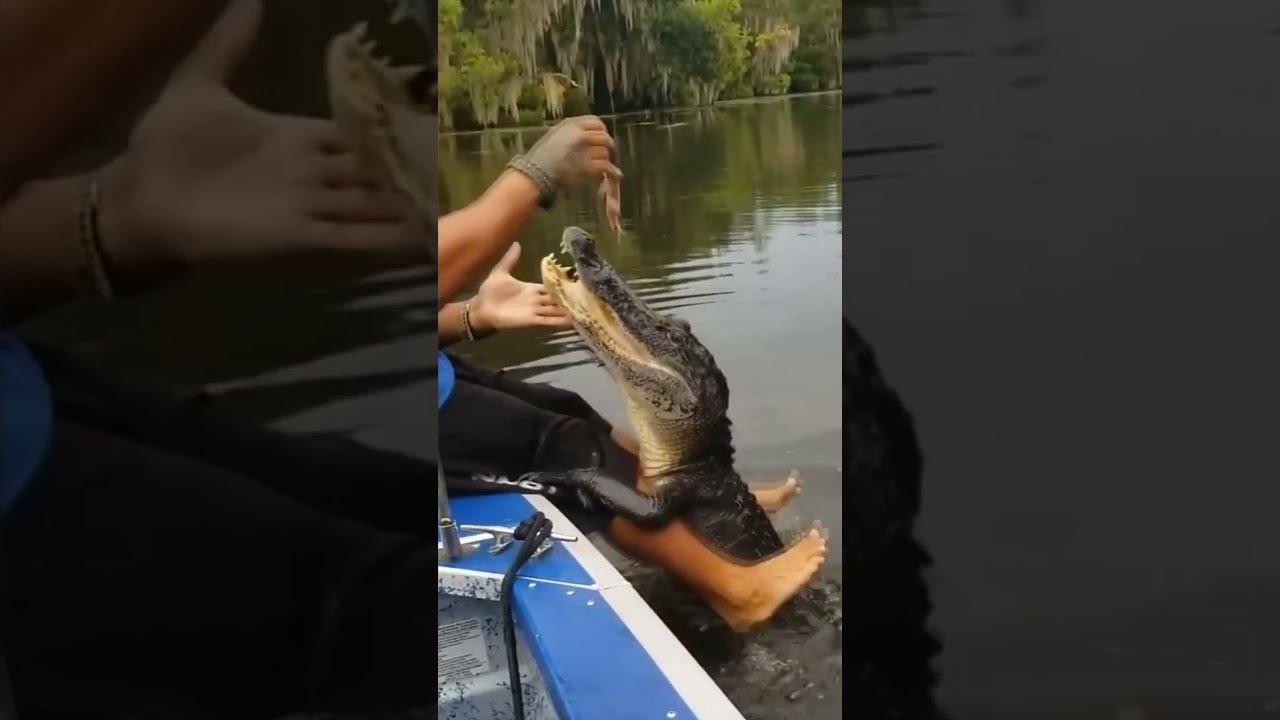 GTA 6 Trailer vs Real Life FLORIDA #gta6 #gta6meme #gta6vsflorida смотреть онлайн