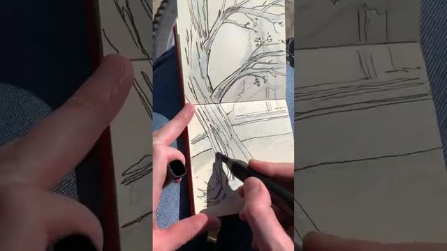 Как рисовать дерево маркерами смотреть онлайн