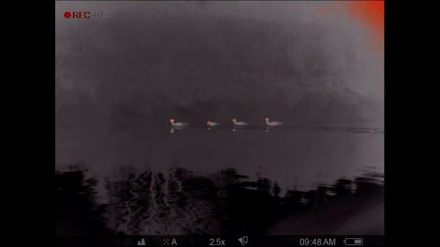 NHBS: In the Field - Pulsar Helion XP50 Thermal Imaging Scope смотреть онлайн