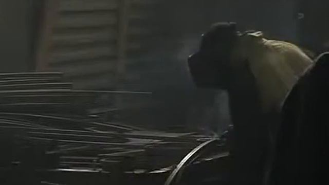 Почему выбирают теплицу 'Кормилица' 2010г. смотреть онлайн