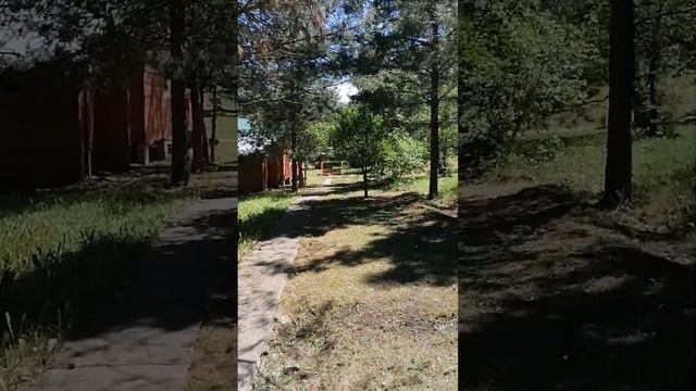 Турбаза летний сад Горный алтай смотреть онлайн