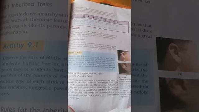 Heredity (reduced syllabus ) Class10 CBSE смотреть онлайн