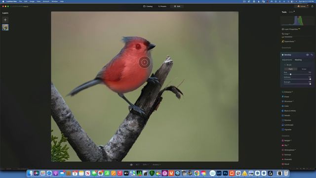Luminar Neo 1.8.0. NEW SOFTWARE UPDATE смотреть онлайн