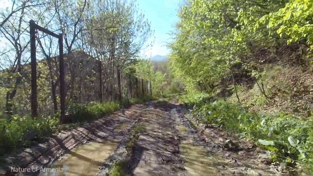 Sjcam SJ7 Star action camera EIS test on bike смотреть онлайн