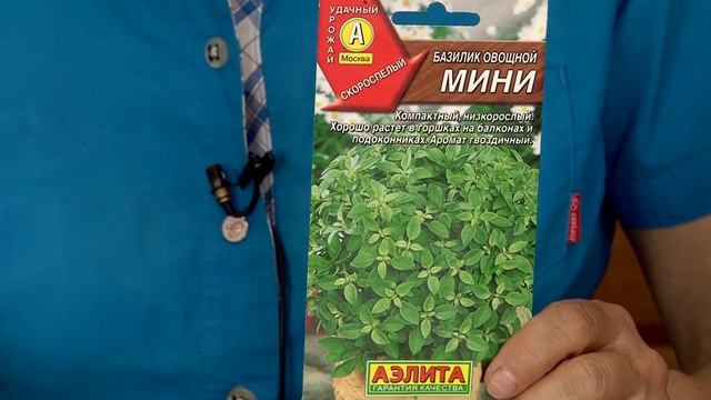 Как выращивать базилик смотреть онлайн