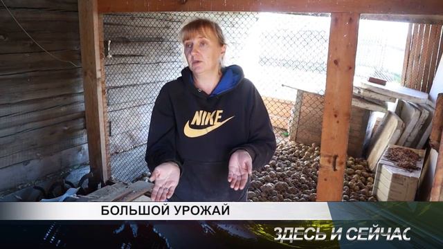 БОЛЬШОЙ УРОЖАЙ смотреть онлайн