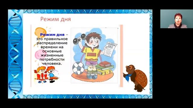 Окружающий мир 2 класс 18-21 недели. Строение человека. Если хочешь быть здоров смотреть онлайн