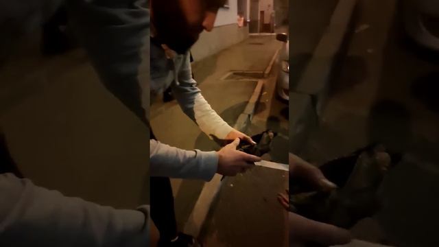 Сбитая птичка из московского зоопарка смотреть онлайн