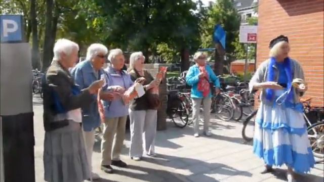 Parels van Bezuidenhout 2013: George Mens met zijn Parellied смотреть онлайн