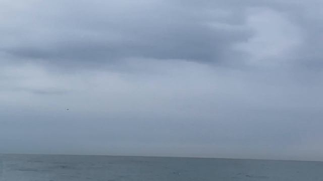 28.01.2023. Погода в Сочи в январе.Смотри на Чёрное море каждый день. смотреть онлайн