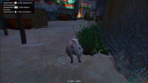 Как превратиться в ЖИВОТНОГО в GTA5 | лофофор