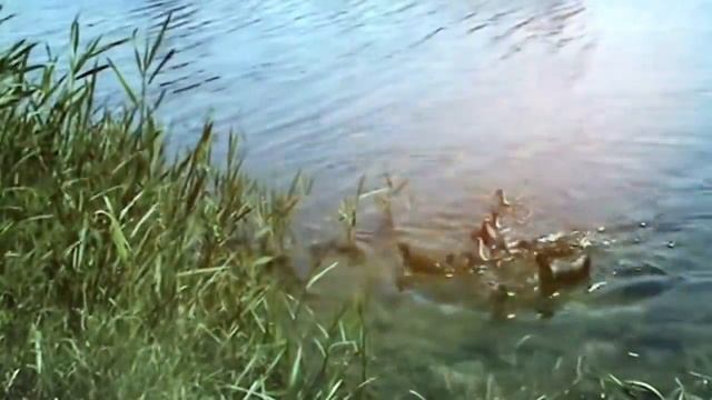 Доброй ночи