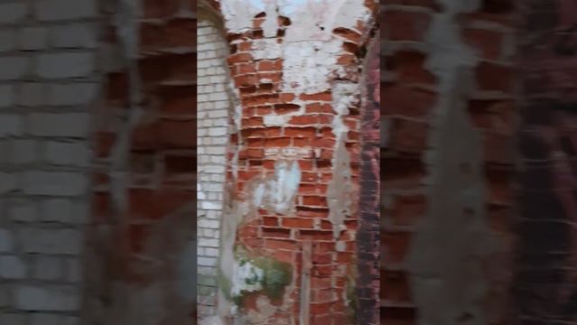 Церковь Благовещения Пресвятой Богородицы, д. Климово, Торжокский район, Тверская область смотреть онлайн