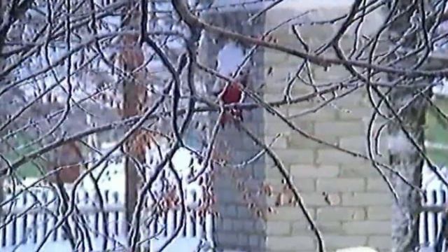 Моя родина Россия мой дом поселок Самодед 2 смотреть онлайн