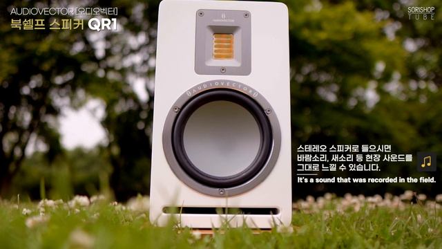 '현장의 사운드를 직접 담았습니다!' 덴마크 하이파이 스피커 AUDIOVECTOR(오디오벡터) QR1 | 소리샵 추천 오디오 [ENG] смотреть онлайн