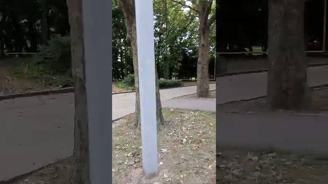 Отдыхаем в зоопарке. г.Николаев смотреть онлайн