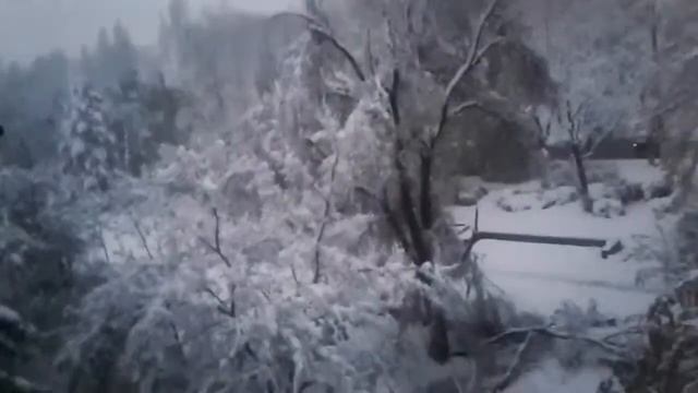 20 апреля 2017. В Молдове вернулась зима. Снегопад. Выпал снег! 2 часть. смотреть онлайн