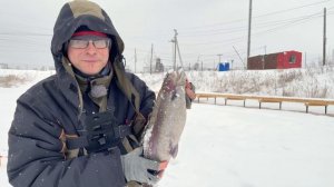 Рыба - сильная, икра - красная. Ловля форели зимой на балансир. Фишпарк Тюмень. Рыбалка 2022