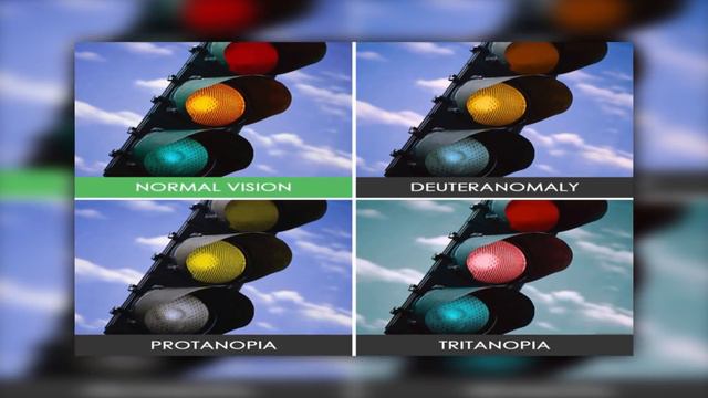 HOW COLOR BLIND PEOPLE SEE THE WORLD смотреть онлайн