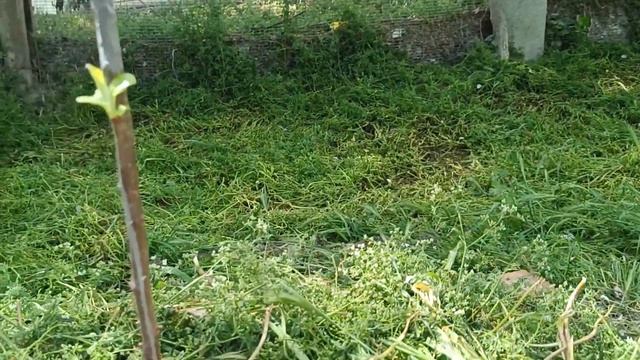 подстолье из пня смотреть онлайн