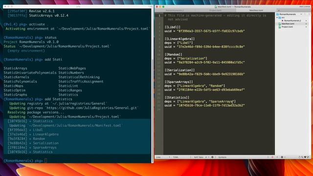 REPL Based Package Manager and Dependency Management смотреть онлайн