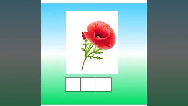 4+ грамотей.  Основы грамоты №5  ЗАС 