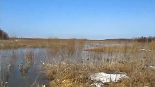 разлив река чепца 2016 смотреть онлайн