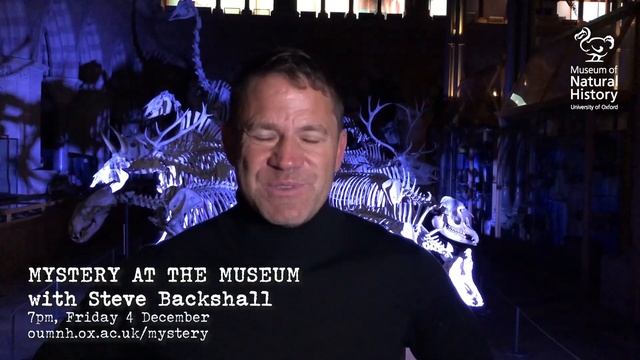 Mystery at the Museum 2! смотреть онлайн