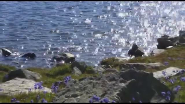 Алтай: земля обетованная смотреть онлайн