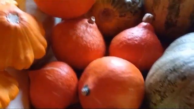 #тыквенные #овощи / Набор тыквенных овощей. Огороднику на заметку. смотреть онлайн
