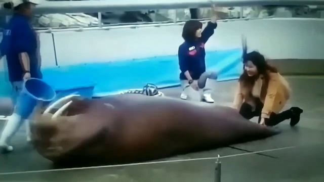 моя зарядка. смотреть онлайн