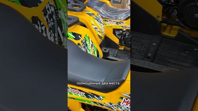 Квадроцикл PROMAX STORM 300cc быстрый обзор смотреть онлайн