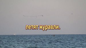 Где ты прекрасная светлая ясная, Родина вечная Отчизна моя