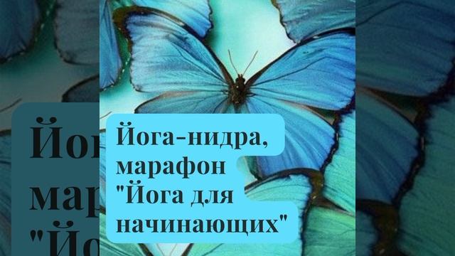 День 15. Онлайн-марафон "Йога для начинающих".Йога-нидра #2. #осознанность #медитация смотреть онлайн