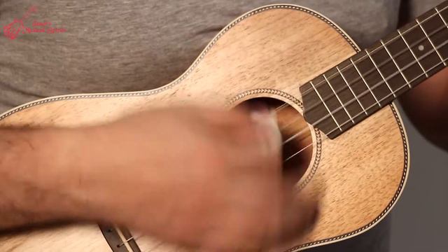 APC Ukulele Bariton - יוקוללי בריטון смотреть онлайн