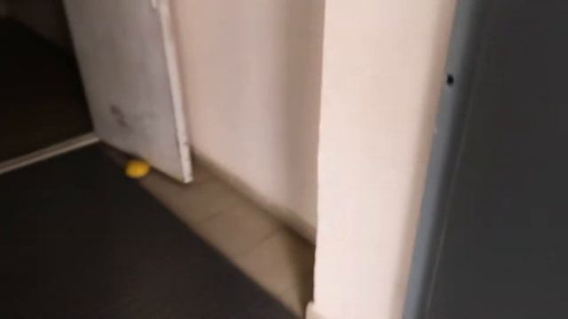 Ночёвка у подруги\\ Ежедневник 🤗 смотреть онлайн