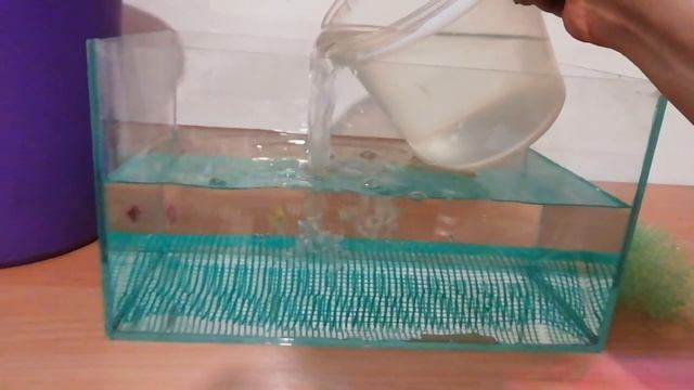 Посадка тернеций гло фиш на нерест смотреть онлайн