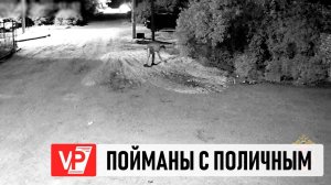 ТРЕХ ЗАКЛАДЧИКОВ НАРКОТИКОВ ПОЙМАЛИ С ПОЛИЧНЫМ В ВОЛГОГРАДЕ