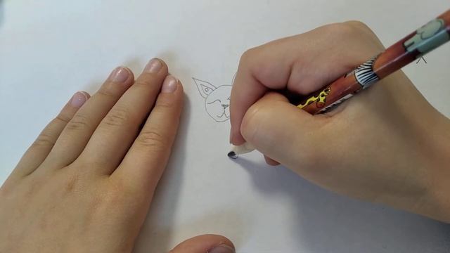 Как нарисовать кошку смотреть онлайн