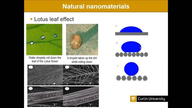 ‘small is powerful' to World