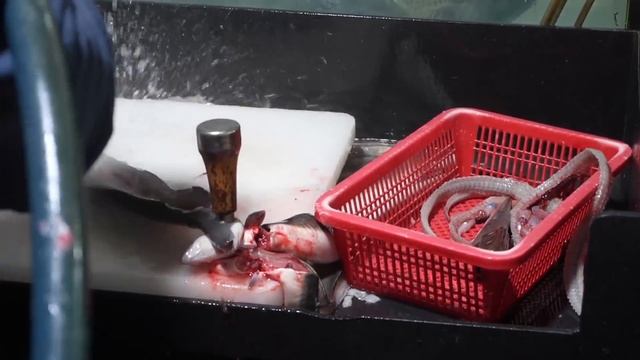 Korea Street Food / EEL SASHIMI flounder Guri Seafood Market / Freshwater eel care / 민물장어 고래수산 смотреть онлайн