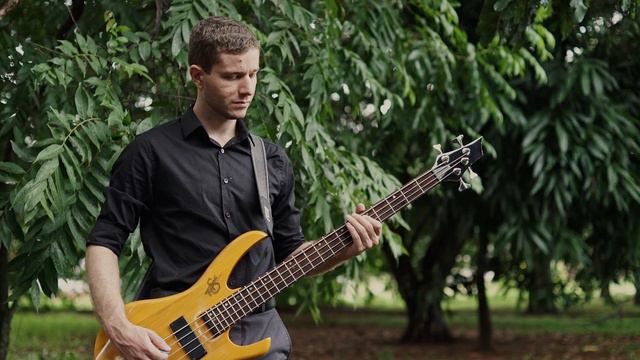 Thornhill All The Light We Don't See + Lilly And The Moon (Guitar and Bass Cover) смотреть онлайн