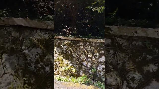 Абхазия 2023. Прогулка до дачи И.В.Сталина Холодная речка.