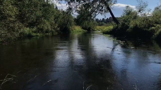 Приключение Индера На реке Озерне И Вейне смотреть онлайн