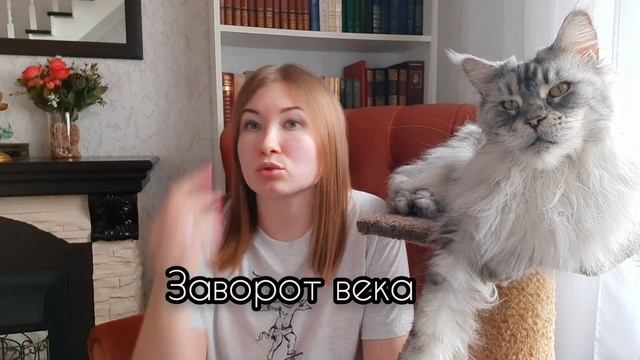 ЖИЗНЬ С МЕЙН-КУНАМИ / ОСНОВНЫЕ БОЛЕЗНИ МЕЙН-КУНОВ смотреть онлайн