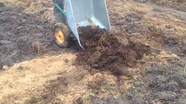 Отвёз Навоз смотреть онлайн